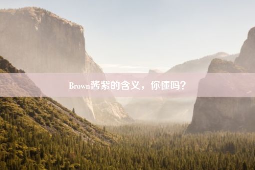 Brown酱紫的含义，你懂吗？