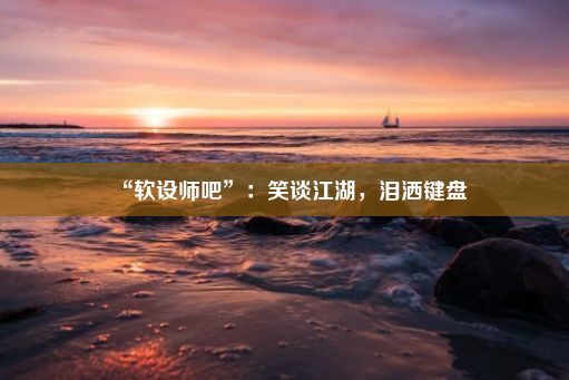 “软设师吧”：笑谈江湖，泪洒键盘