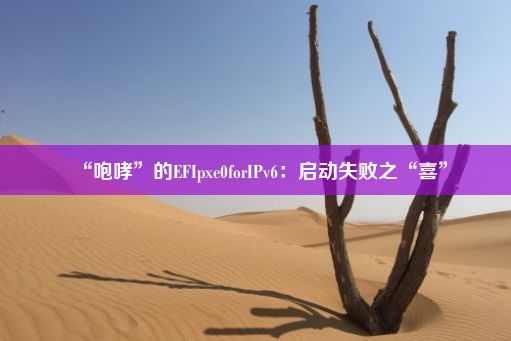 “咆哮”的EFIpxe0forIPv6：启动失败之“喜”