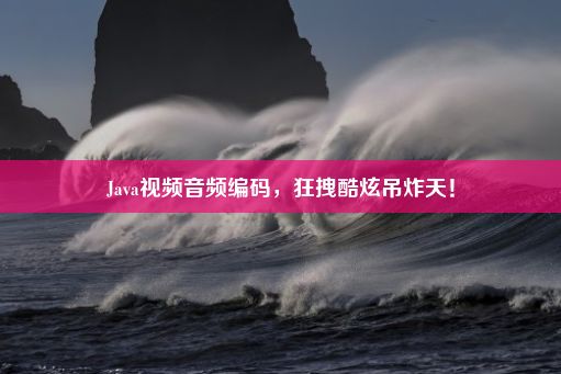 Java视频音频编码，狂拽酷炫吊炸天！