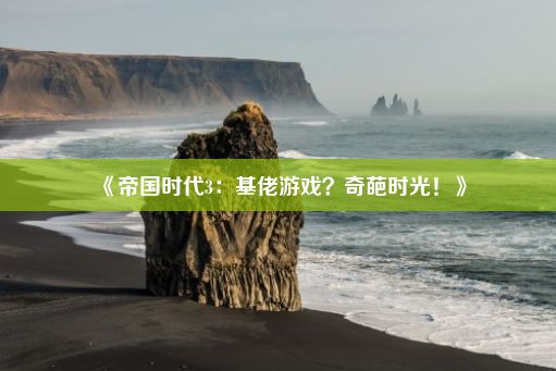 《帝国时代3：基佬游戏？奇葩时光！》