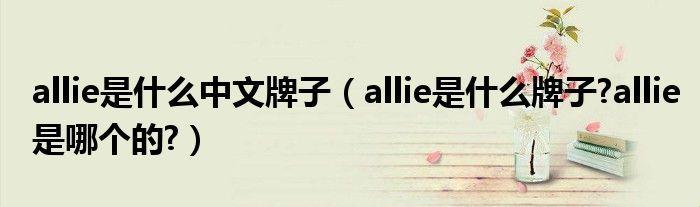 《Allie解锁：一段诙谐的语义漫游》