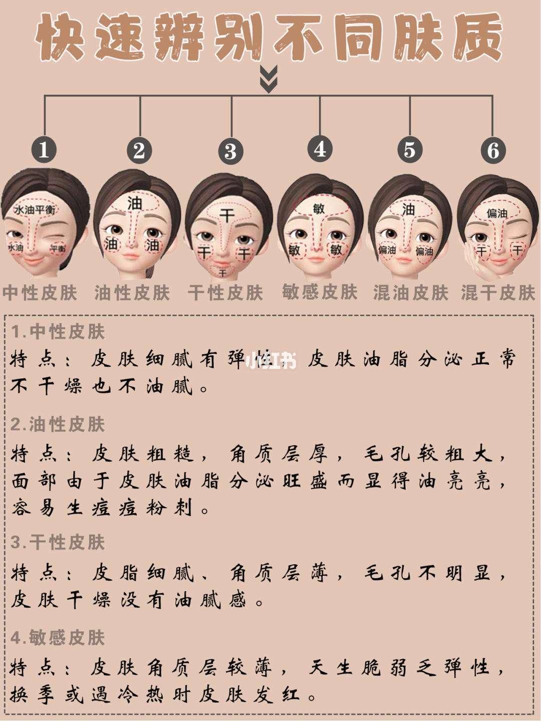 《脸皮探秘：油光还是干涩，你的面子何在？》