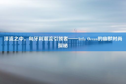 洋流之中，匈牙利潮流引领者——Attla Ocean的幽默时尚探秘