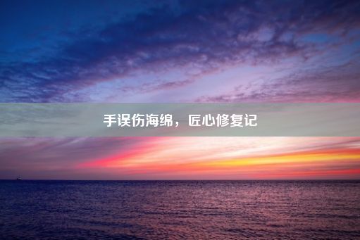 手误伤海绵，匠心修复记