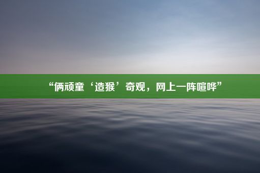 “俩顽童‘造猴’奇观，网上一阵喧哗”