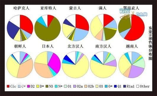 “染色体差异？笑谈亚洲与欧洲的‘基因拼图’”