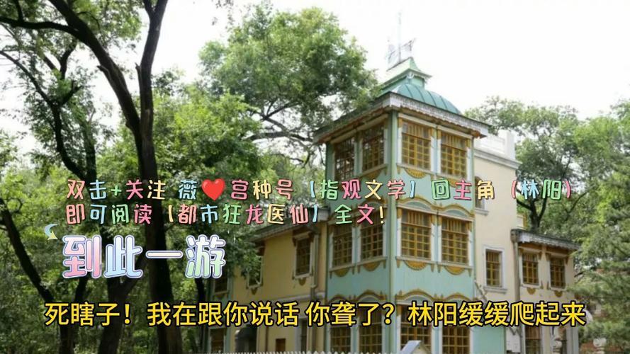 林阳秦墨浓小说免费完整版，引人入胜