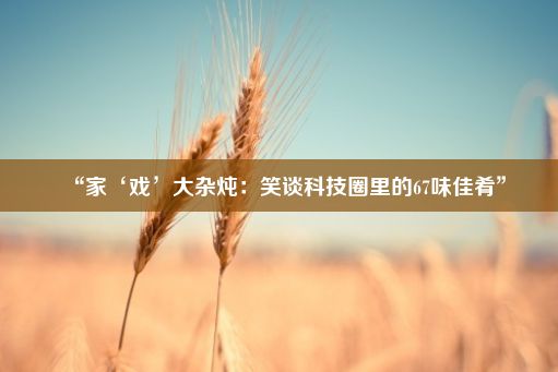 “家‘戏’大杂炖：笑谈科技圈里的67味佳肴”