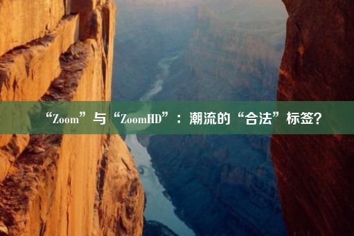 “Zoom”与“ZoomHD”：潮流的“合法”标签？