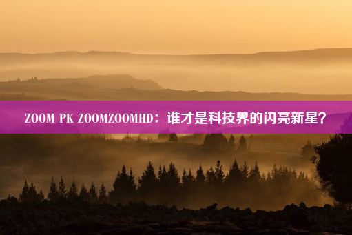 ZOOM PK ZOOMZOOMHD：谁才是科技界的闪亮新星？