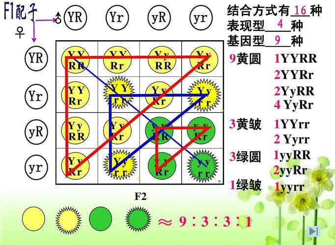 9浅1深左3右3，时尚界的神秘暗号？