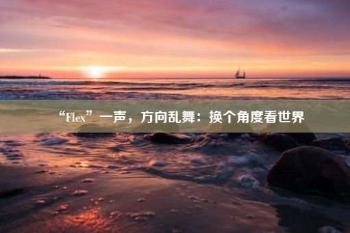 “Flex”一声，方向乱舞：换个角度看世界