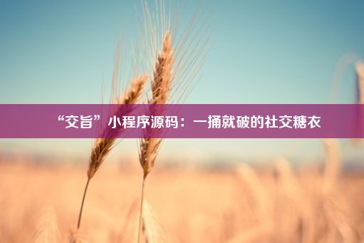 “交旨”小程序源码：一捅就破的社交糖衣