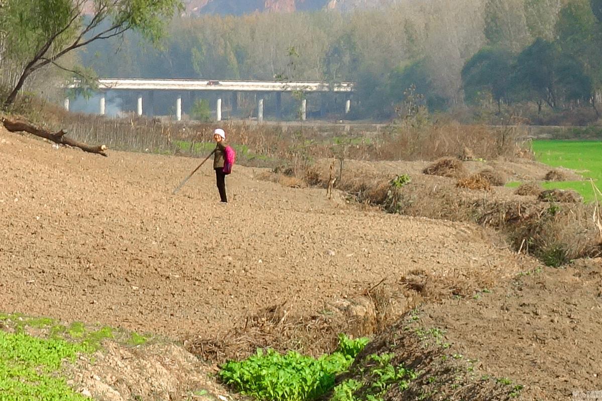 开垦妈妈的"荒土地”：游戏界的“新大陆”