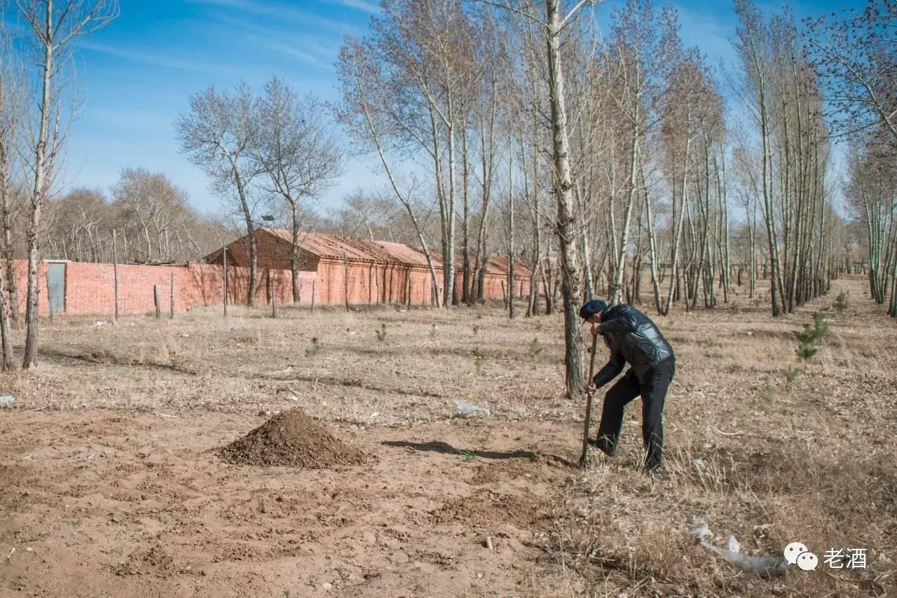 开垦妈妈的"荒土地”：游戏界的“新大陆”