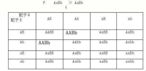 “AABB”对阵“AAAA”：时尚界的另类翘楚