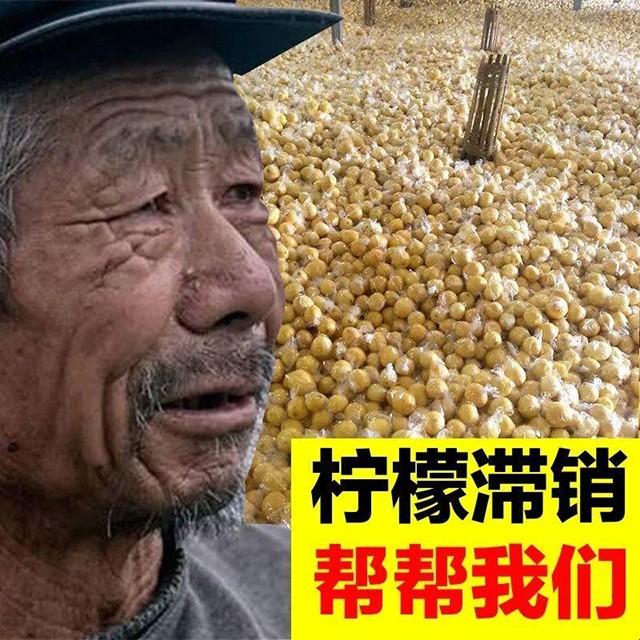 排毒大爷狂掀网潮：科技界的新神话！