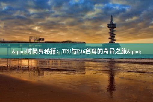 "时尚界秘籍：TPU与PA6色母的奇异之旅"