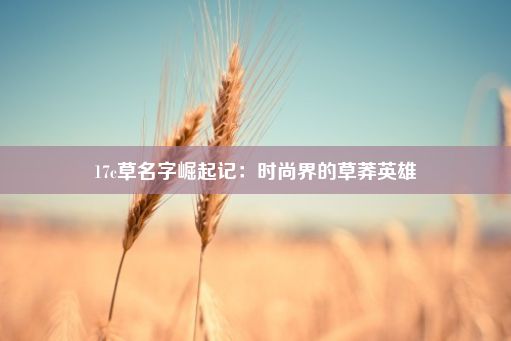 17c草名字崛起记：时尚界的草莽英雄