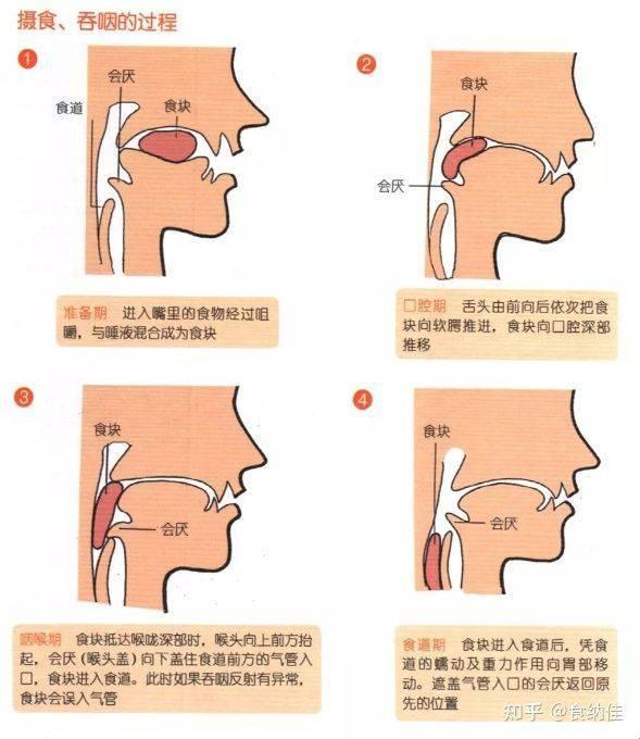 "嘴上功夫：吞度量之科技新视野"