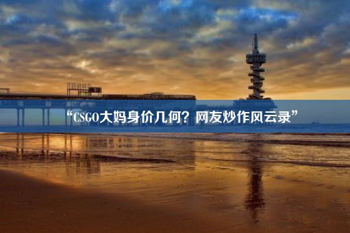 “CSGO大妈身价几何？网友炒作风云录”