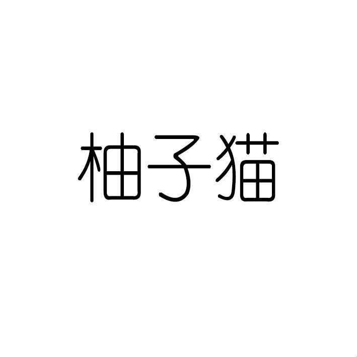 “柚子猫糖心Logo”炫彩风暴，掀起全民智慧狂欢