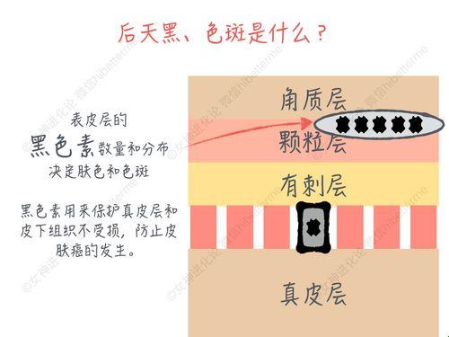 “糙色之谜，极限狂想：谁在色母表面作怪？”