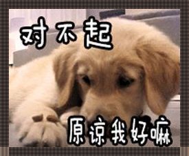 “主人，我认怂，能停战不？”