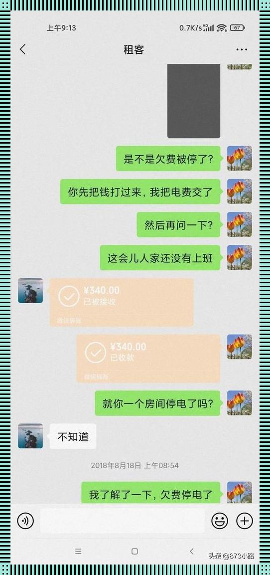 “六次房租背后的游戏界奇观：笑谈网友热议的新现象”