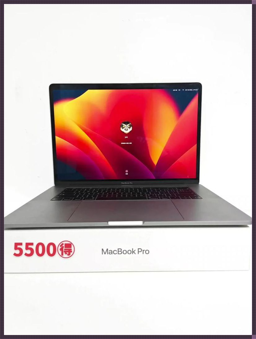 19岁少年带MacBook Pro闯日本，网民热议：这操作猛如虎！