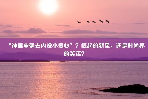 “神里申鹤去内没小爱心”？崛起的新星，还是时尚界的笑话？