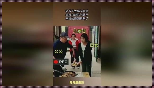 《游戏界的“辣味”逆袭：笑谈“辛苦的老爷儿媳妇”》