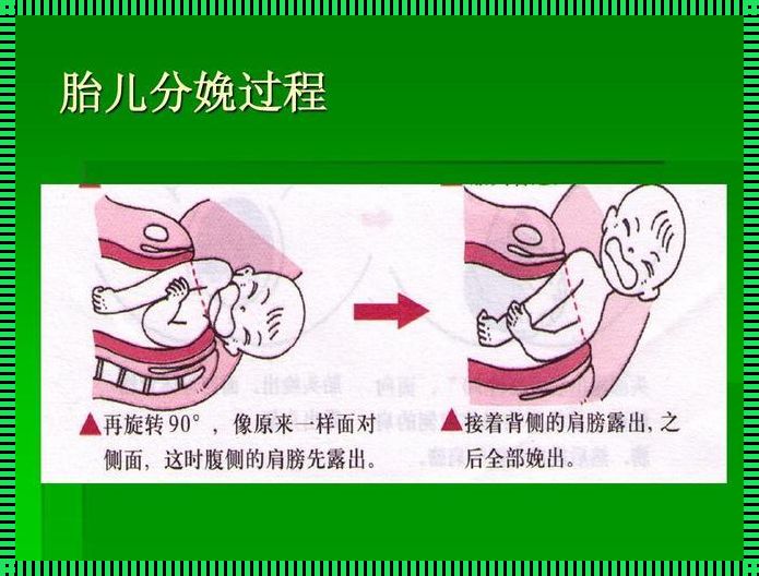 “生”计之道：笑谈生物老师的“科技新潮流”