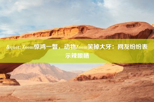 " Zoom惊鸿一瞥，动物Zoom笑掉大牙：网友纷纷表示辣眼睛