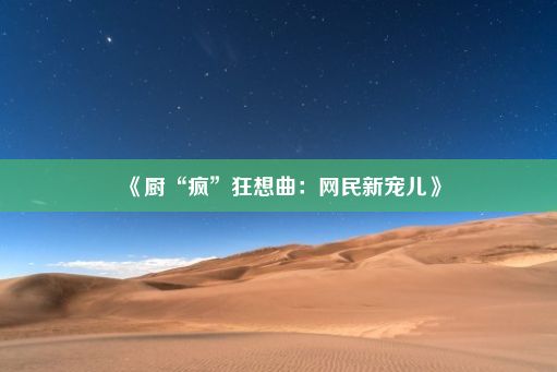 《厨“疯”狂想曲：网民新宠儿》