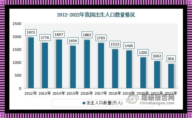 "象园异彩：2022圈的庞然大物，时尚界的爆款话题"