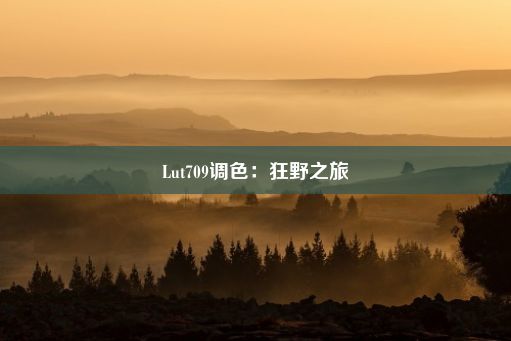 Lut709调色：狂野之旅