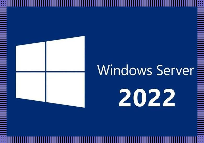 "日本Winserver2023，时尚界的超新星！"