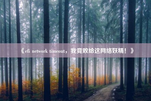 《efi network timeout，我竟败给这网络妖精！》