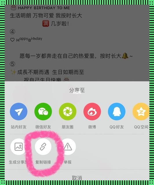 潮玩攻略：比特舟复制链接奇技，岂止于潮