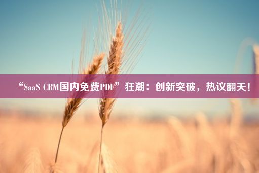 “SaaS CRM国内免费PDF”狂潮：创新突破，热议翻天！