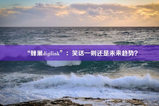 “蜂巢digilink”：笑话一则还是未来趋势？