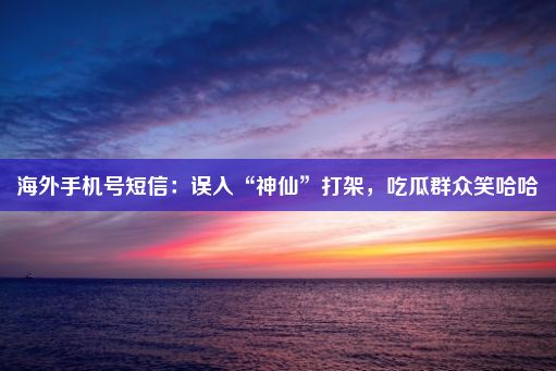 海外手机号短信：误入“神仙”打架，吃瓜群众笑哈哈