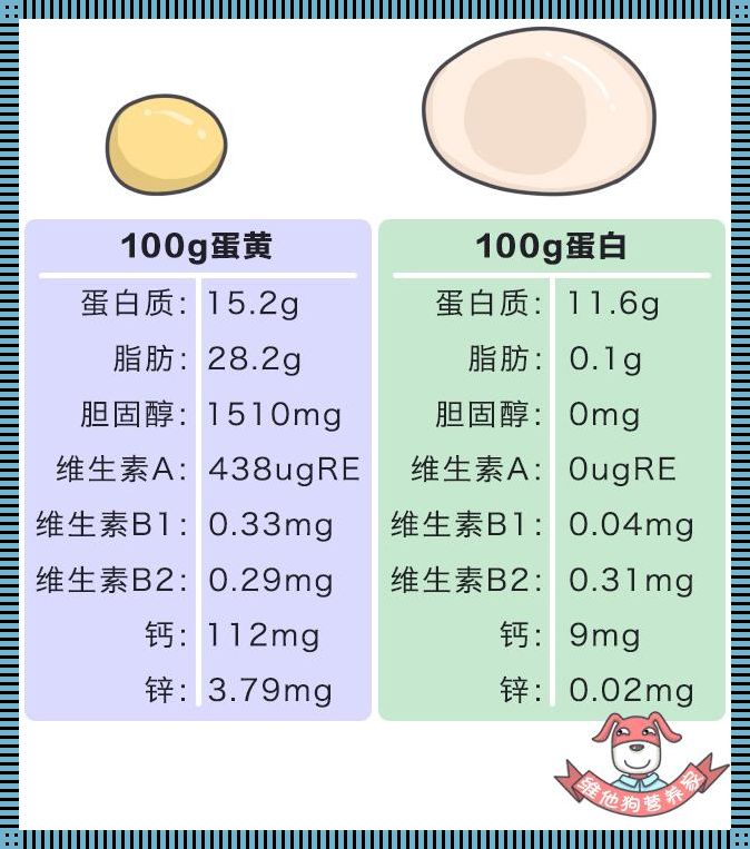 “蛋”扯脂肪，笑谈风云：一枚鸡蛋的“丰腴”秘辛