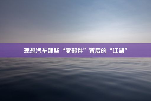 理想汽车那些“零部件”背后的“江湖”