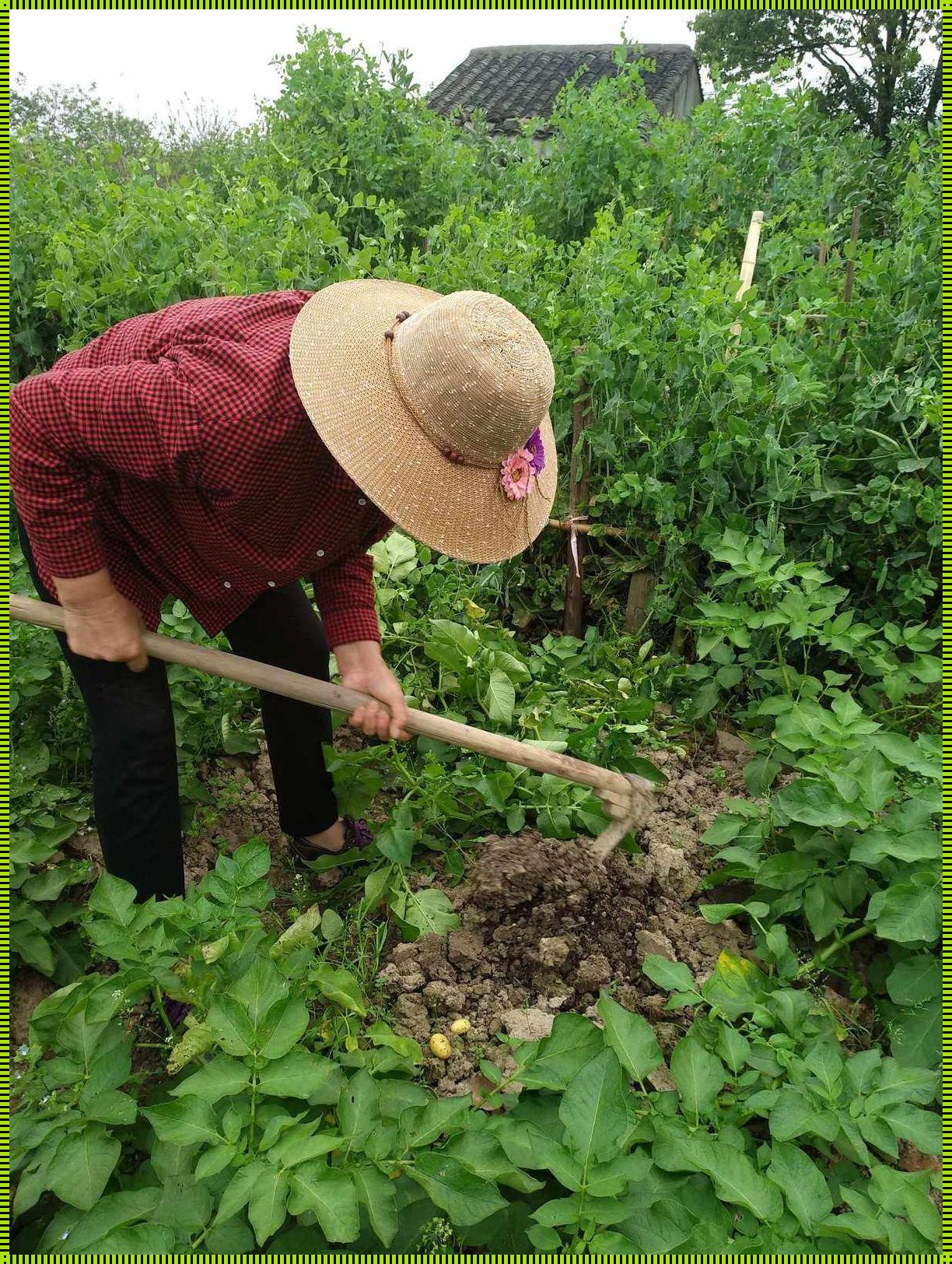 游戏圈新话题：孝子耕田，笑谈间