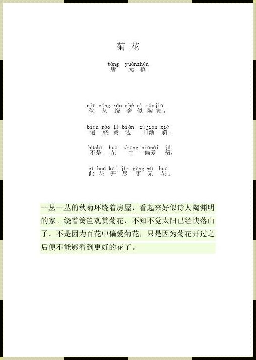 “错题放笔，笑傲江湖：科技界的‘脑洞’传奇”