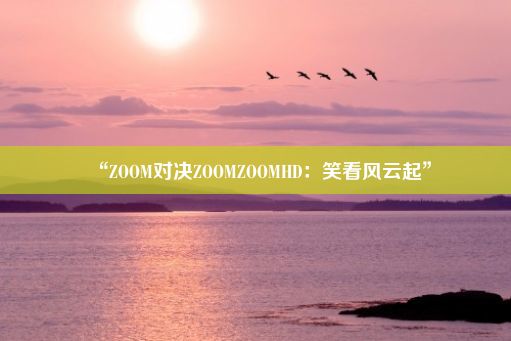 “ZOOM对决ZOOMZOOMHD：笑看风云起”