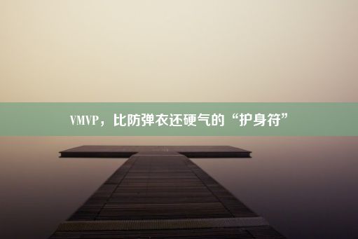 VMVP，比防弹衣还硬气的“护身符”